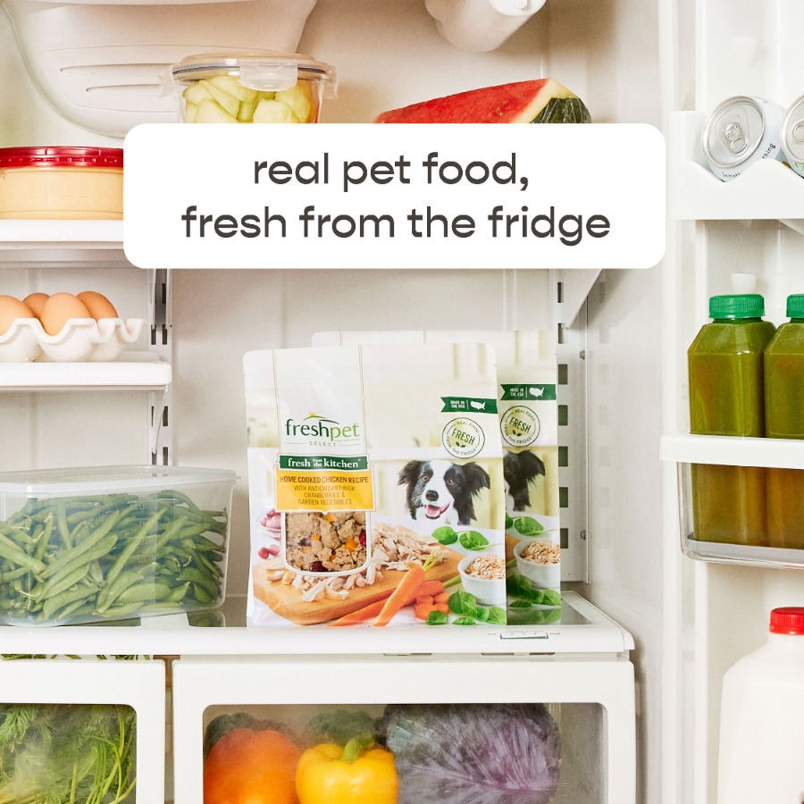 4 pack Fresh Dog Food, Fresh F - Home Cooking Recipes ulasan dan harga